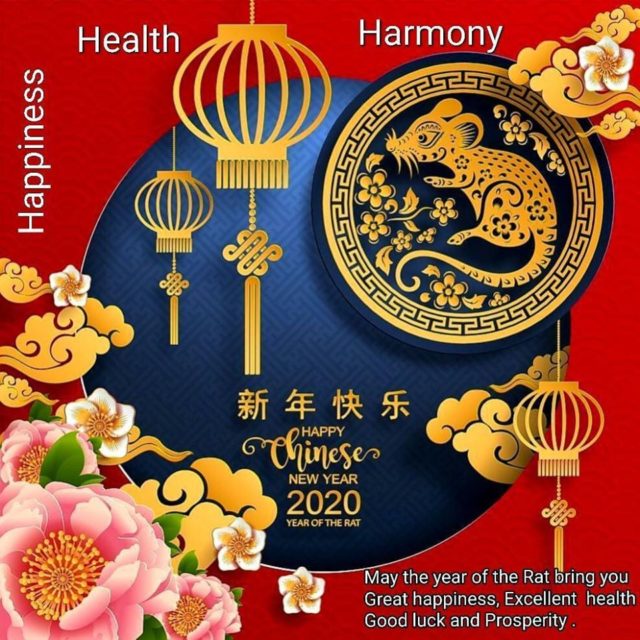 Happy Lunar New Year 2020! – Lost in a Reverie